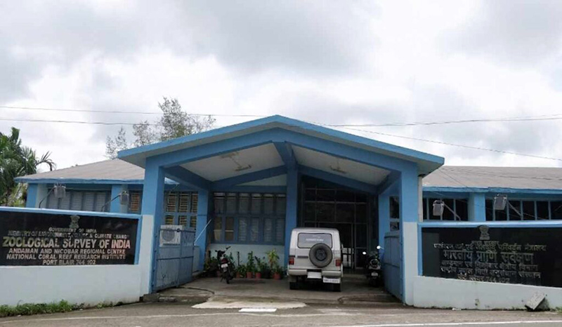 Zoological Survey of India